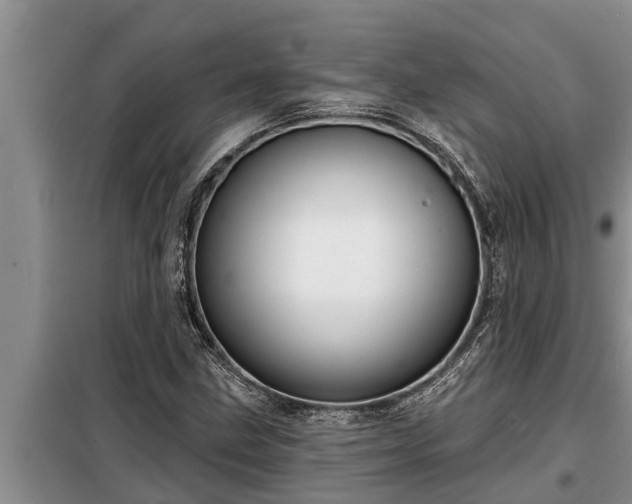 X0000098171211200805011006