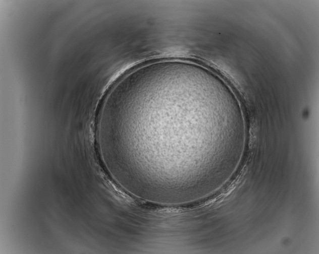 X0000098171212200805011006