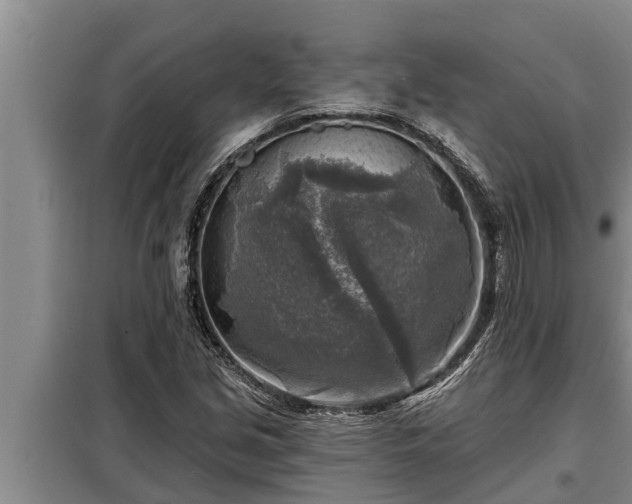 X0000098171213200805011006