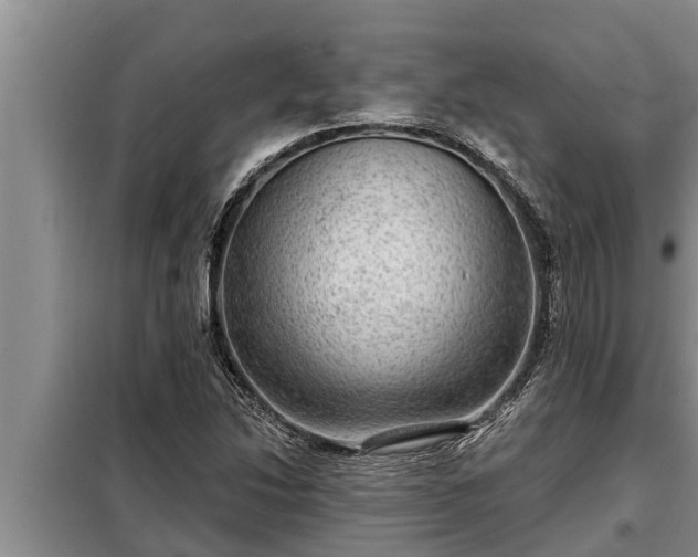 X0000098171214200805011006