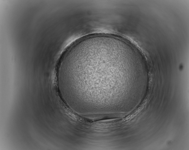 X0000098171215200805011006