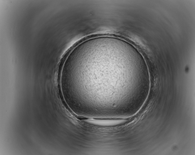 X0000098171216200805011006