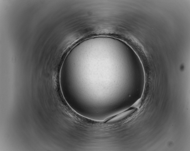 X0000098171217200805011006