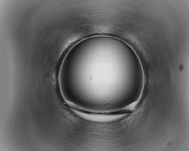 X0000098171218200805011006