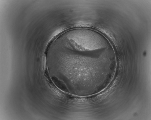 X0000098171219200805011006