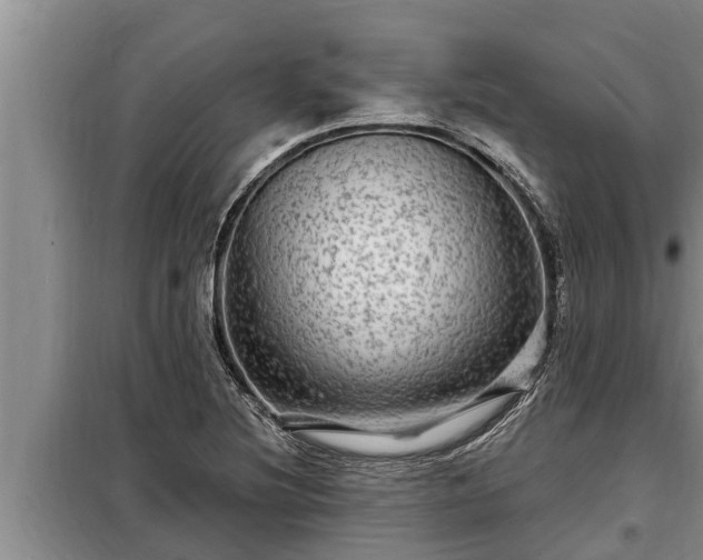 X0000098171220200805011006