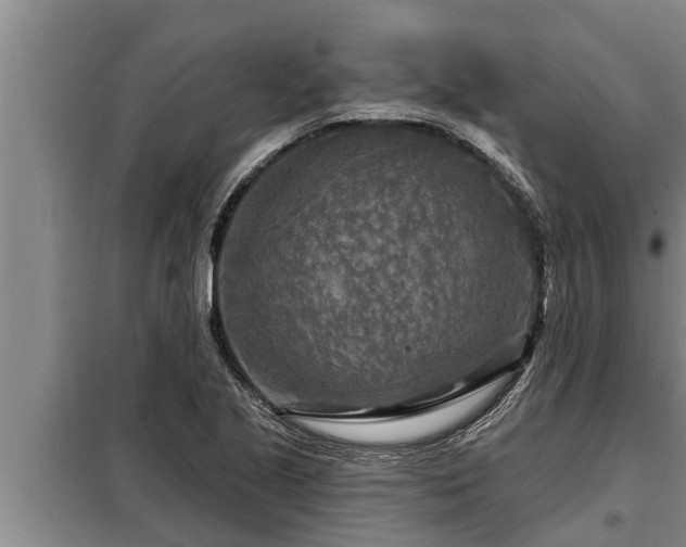 X0000098171221200805011006