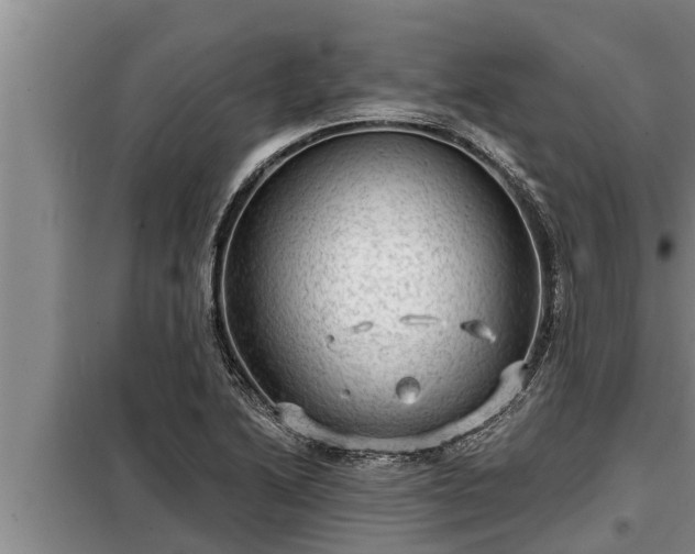 X0000098171222200805011006