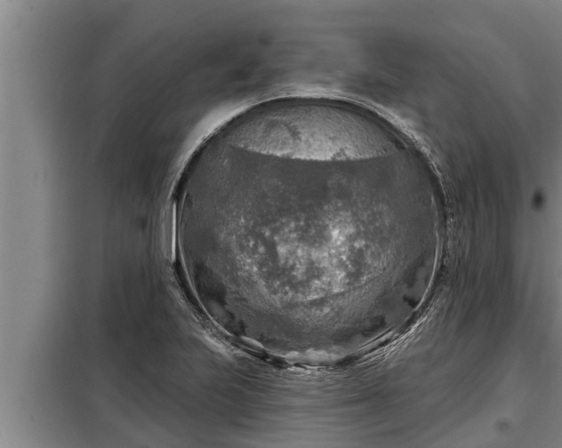 X0000098171223200805011006