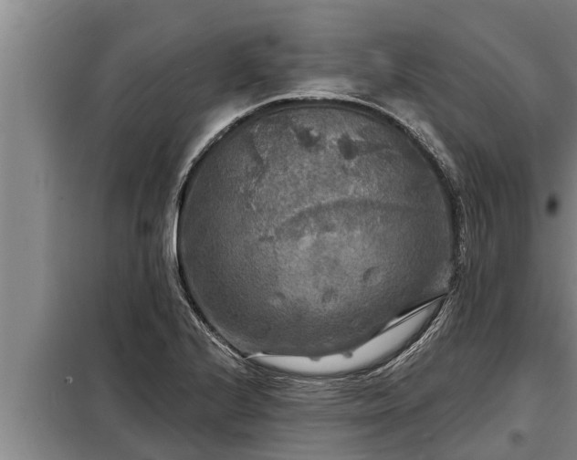 X0000098171224200805011006