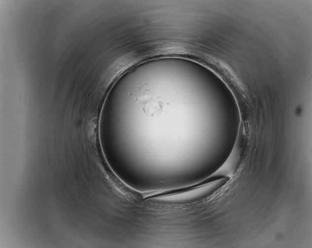 X0000098171225200805011006