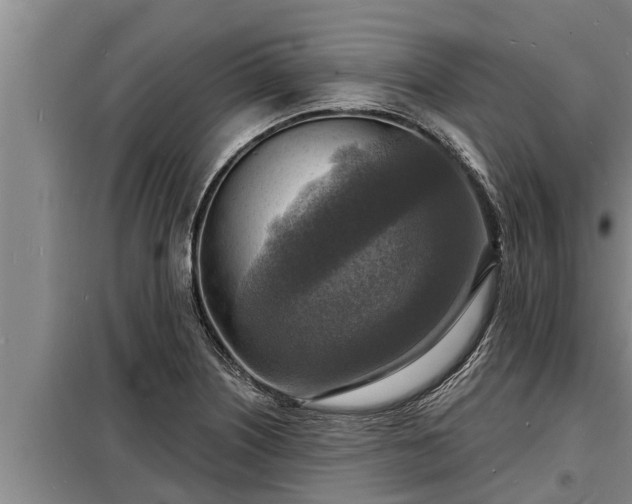 X0000098171226200805011006