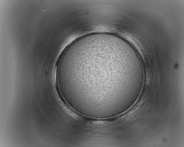 X0000098171227200805011006