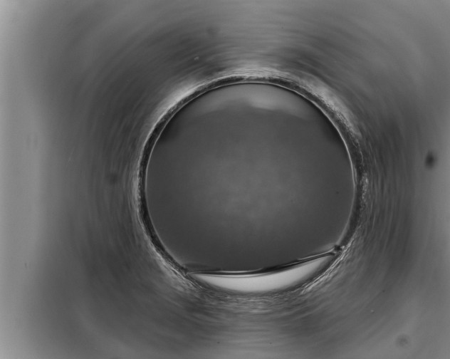 X0000098171229200805011006