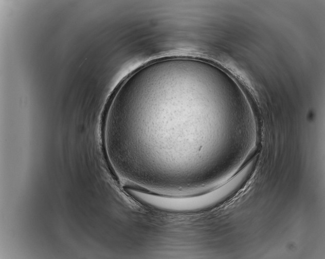 X0000098171230200805011006