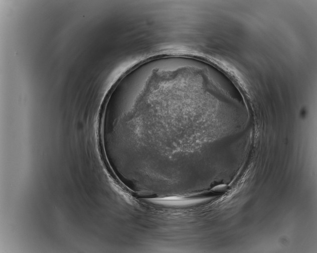 X0000098171231200805011006