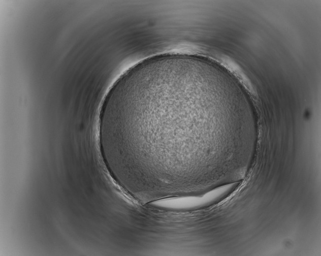 X0000098171232200805011006