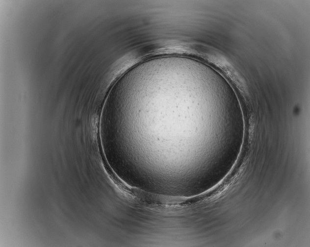 X0000098171233200805011006