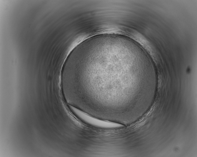 X0000098171234200805011006