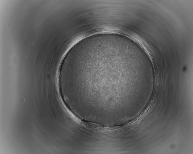 X0000098171235200805011006