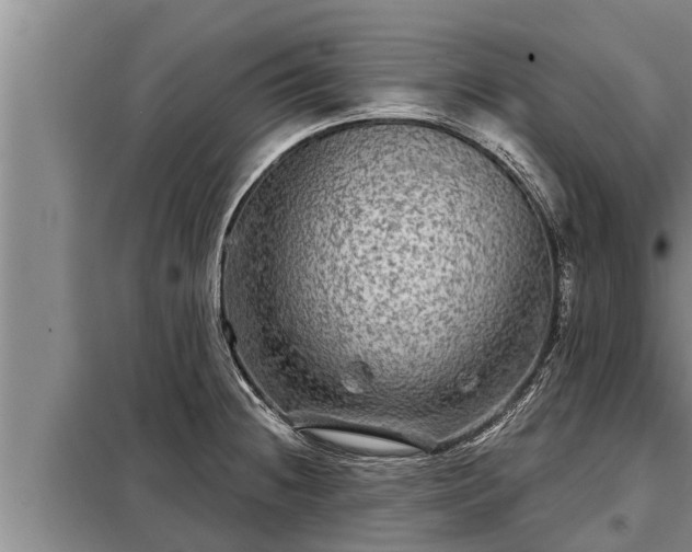 X0000098171236200805011006