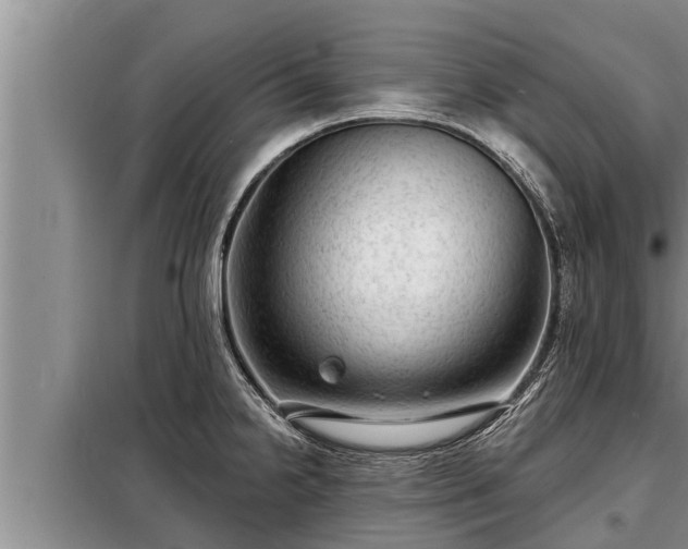 X0000098171238200805011006