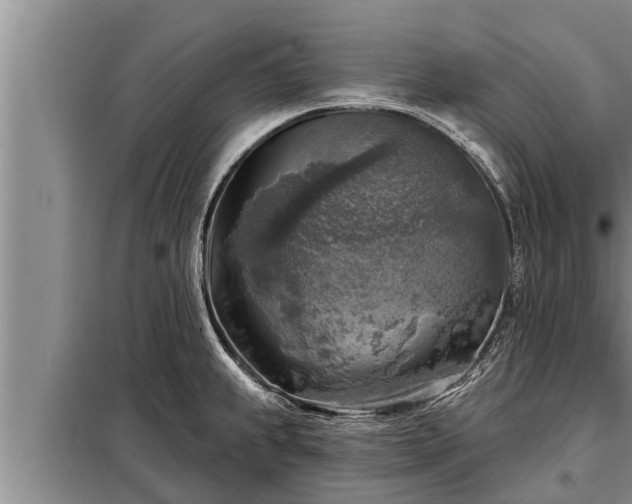 X0000098171239200805011006