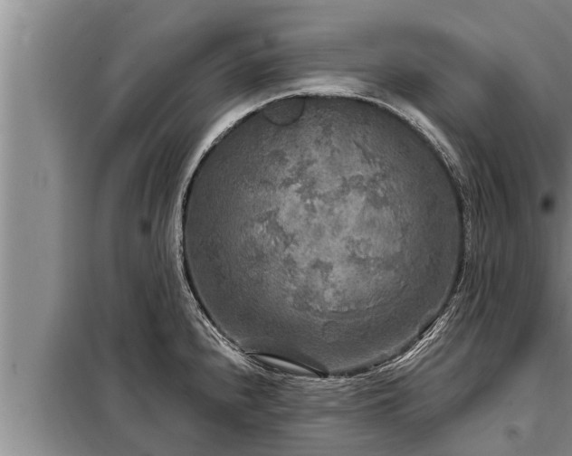 X0000098171240200805011006