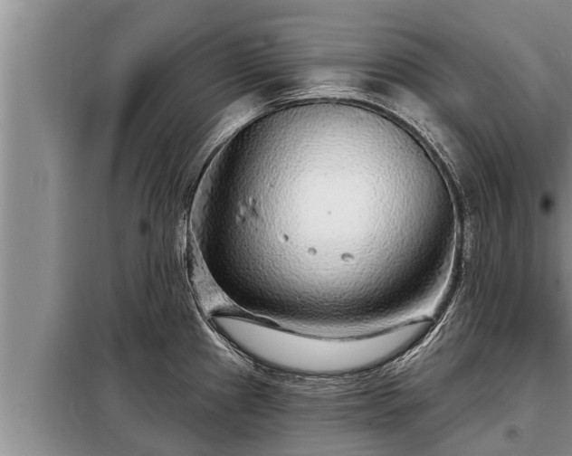 X0000098171241200805011006