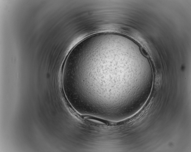 X0000098171242200805011006