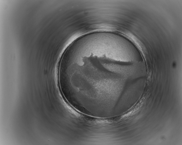 X0000098171243200805011006