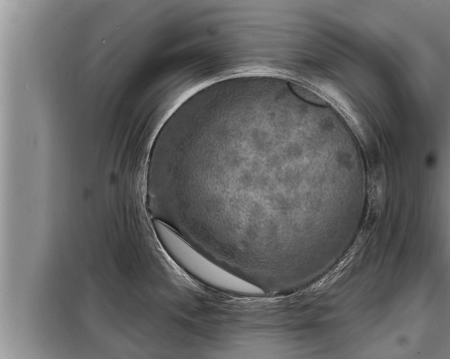 X0000098171244200805011006