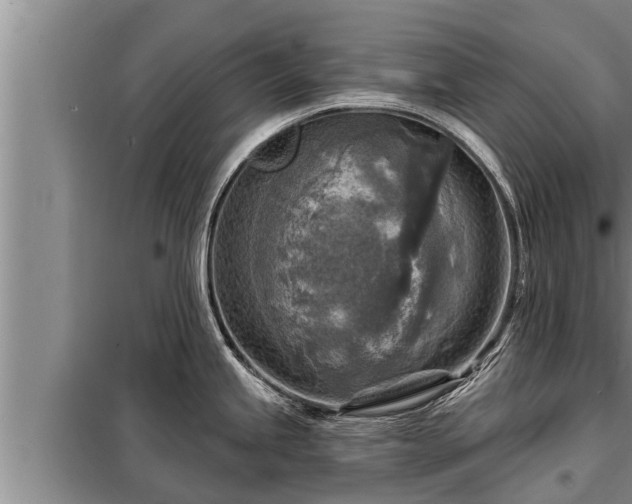 X0000098171245200805011006