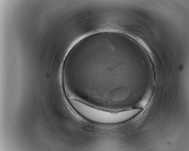 X0000098171246200805011006