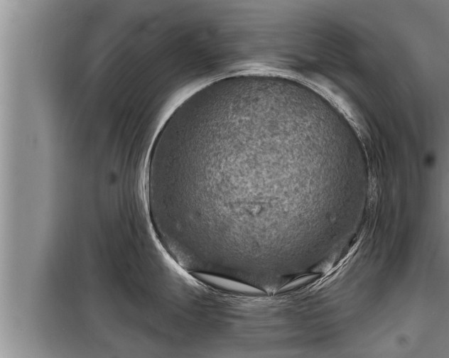 X0000098171247200805011006