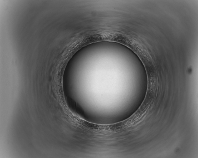 X0000098171249200805011006