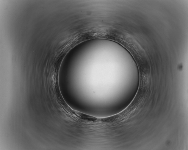 X0000098171250200805011006