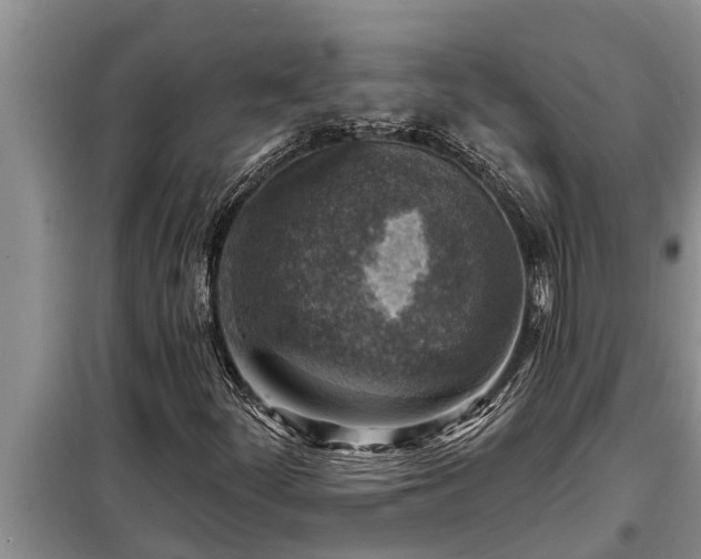 X0000098171252200805011006