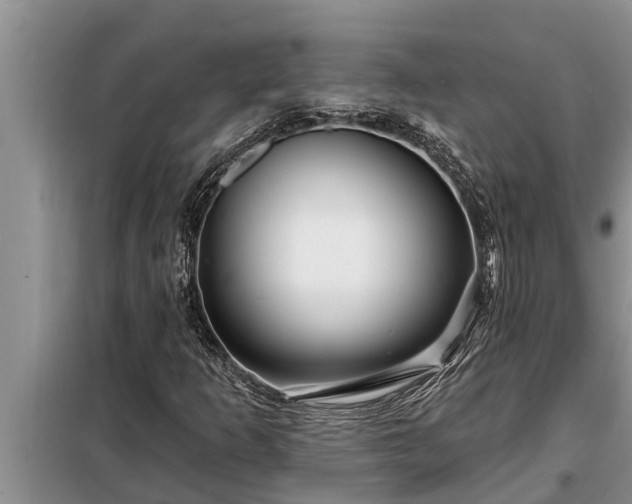 X0000098171253200805011006