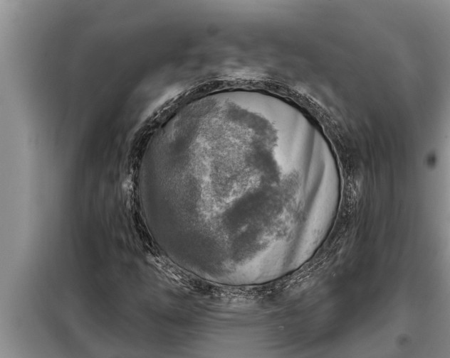 X0000098171254200805011006