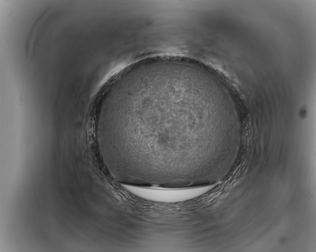 X0000098171255200805011006