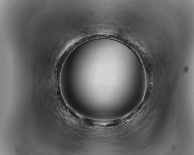 X0000098171256200805011006