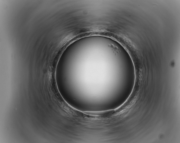 X0000098171257200805011006