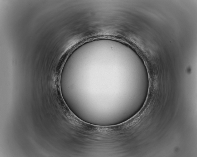 X0000098171258200805011005