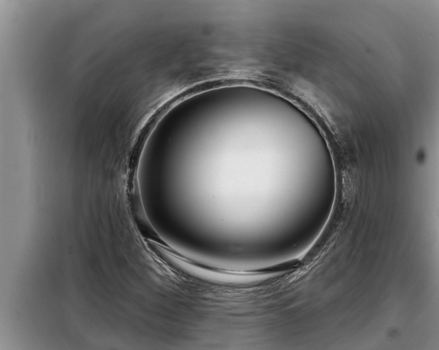 X0000098171260200805011005