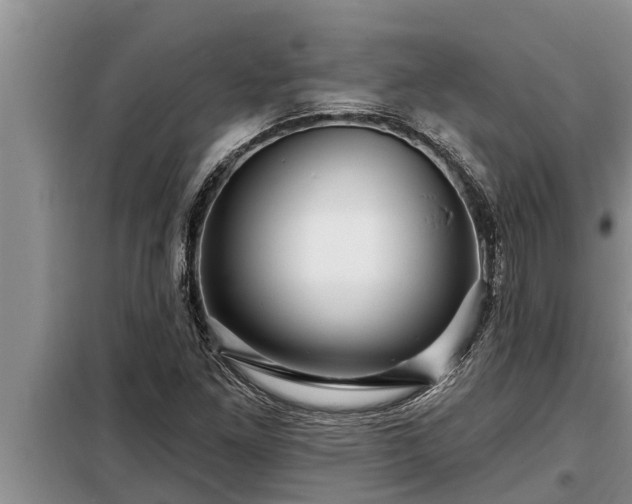 X0000098171261200805011005