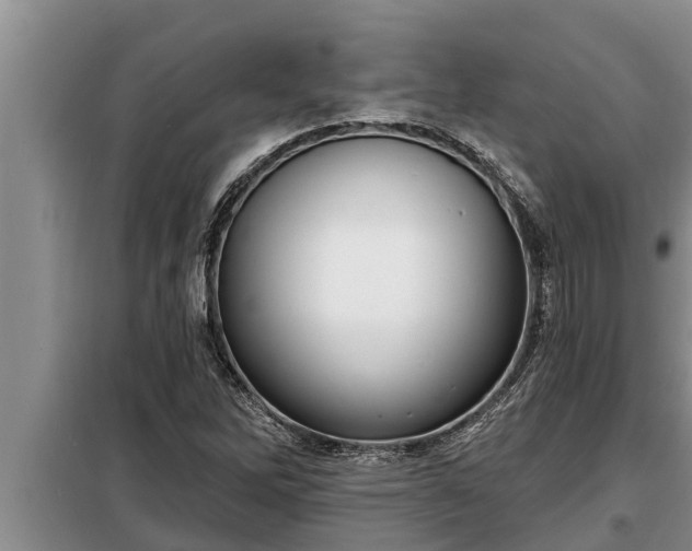 X0000098171262200805011005