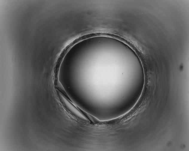 X0000098171264200805011005