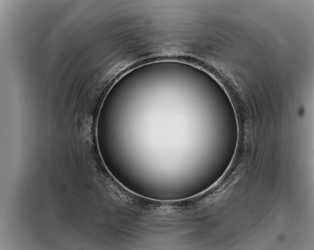 X0000098171265200805011005