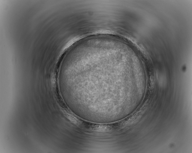 X0000098171266200805011005